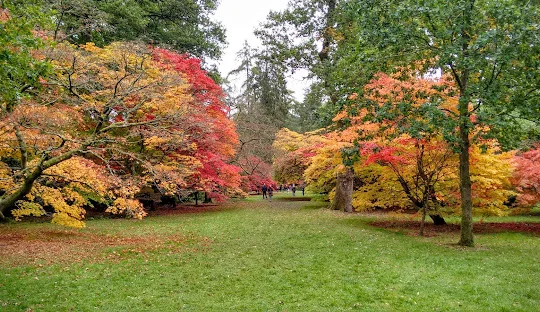 Beautiful autumn garden scene in the Cotswolds – Xverso Chauffeur Services in UK