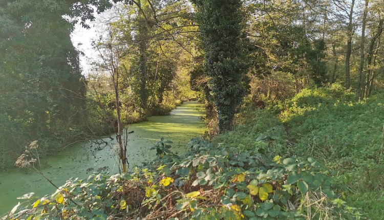 Executive airport transfers in Calne providing convenient access to Castlefields Canal & River Park