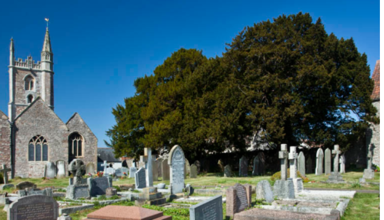 St Quiricus and St Julietta Church in Tickenham with surrounding graveyard and stone headstones under a clear blue sky
