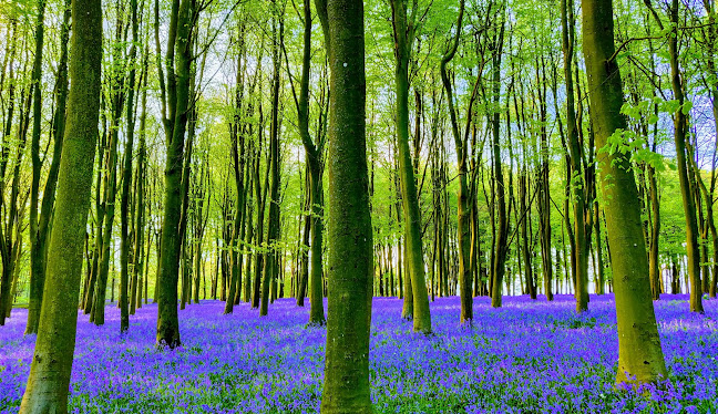 Lechlade-on-Thames Executive Chauffeur Service