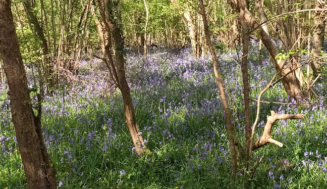 Yate Executive Airport Chauffeur Service